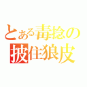 とある毒捻の披住狼皮既羊（）