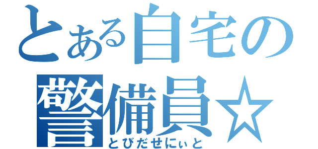 とある自宅の警備員☆（とびだせにぃと）