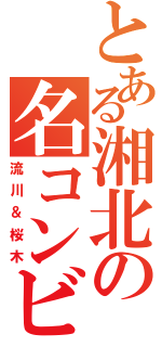 とある湘北の名コンビ（流川＆桜木）