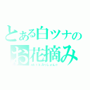 とある白ツナのお花摘み（ｗｋｔｋみっしょん☆）