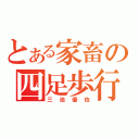 とある家畜の四足歩行（三池優也）