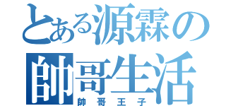 とある源霖の帥哥生活（帥哥王子）