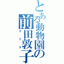 とある動物園の前田敦子（ゴリラ）