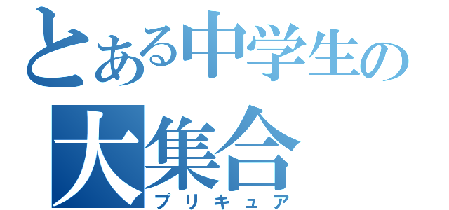 とある中学生の大集合（プリキュア）