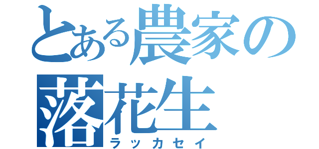 とある農家の落花生（ラッカセイ）