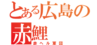 とある広島の赤鯉（赤ヘル軍団）