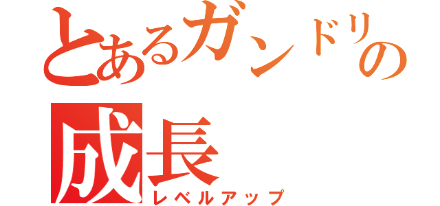 とあるガンドリーマーの成長（レベルアップ）