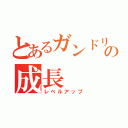 とあるガンドリーマーの成長（レベルアップ）