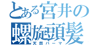 とある宮井の螺旋頭髪（天然パーマ）