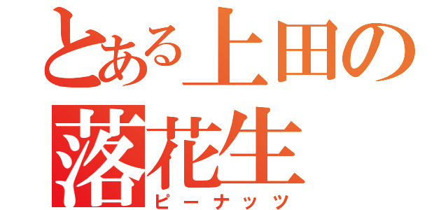 とある上田の落花生（ピーナッツ）