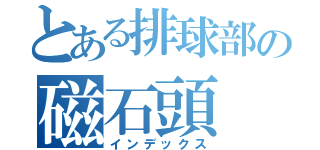 とある排球部の磁石頭（インデックス）