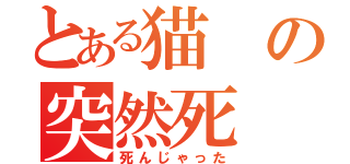 とある猫の突然死（死んじゃった）