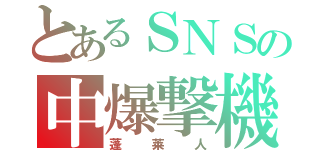 とあるＳＮＳの中爆撃機（蓬莱人）