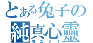 とある兔子の純真心靈（嘘だッ！）