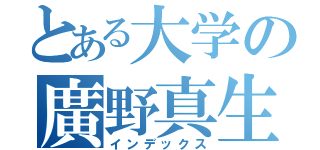 とある大学の廣野真生（インデックス）