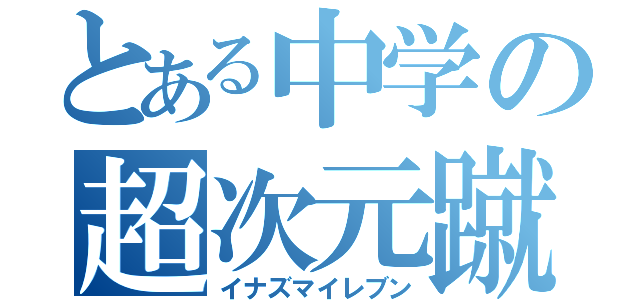 とある中学の超次元蹴球（イナズマイレブン）