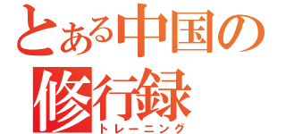 とある中国の修行録（トレーニング）