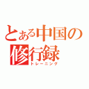 とある中国の修行録（トレーニング）