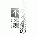 とある呆呆熊の不死魂Ⅱ（インデックス）