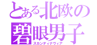 とある北欧の碧眼男子（スカンディナヴィア）