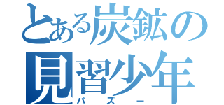 とある炭鉱の見習少年（パズー）