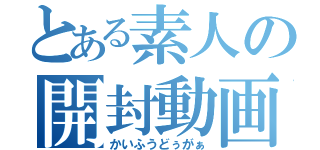 とある素人の開封動画（かいふうどぅがぁ）