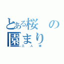 とある桜の園まり（三人娘）