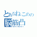 とあるねこめの脳筋凸（ＳＨＩＮＤＯＩ）