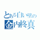 とある白い壁の金内柊真（）