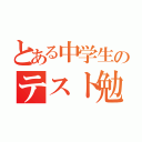 とある中学生のテスト勉強（）