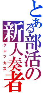 とある部活の新人奏者（クロッカス）