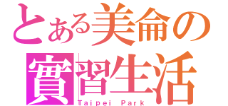 とある美侖の實習生活（Ｔａｉｐｅｉ Ｐａｒｋ）