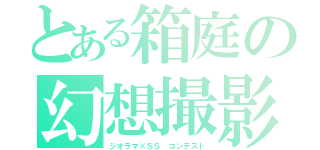 とある箱庭の幻想撮影（ジオラマ×ＳＳ コンテスト）