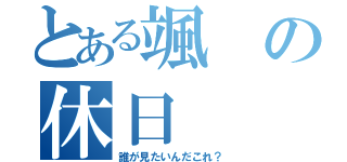 とある颯の休日（誰が見たいんだこれ？）