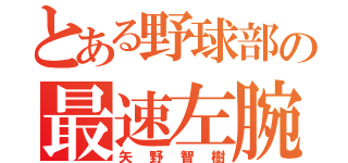 とある野球部の最速左腕（矢野智樹）