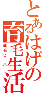 とあるはげの育毛生活（薄毛ヒーハー）