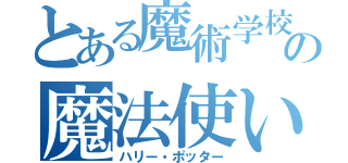 とある魔術学校の魔法使い（ハリー・ポッター）