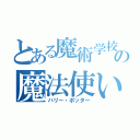 とある魔術学校の魔法使い（ハリー・ポッター）