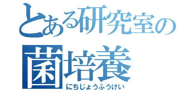 とある研究室の菌培養（にちじょうふうけい）