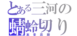 とある三河の蜻蛉切り（本多忠勝）