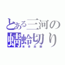 とある三河の蜻蛉切り（本多忠勝）