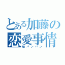 とある加藤の恋愛事情（杣パンパン）