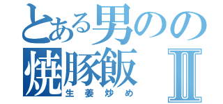 とある男のの焼豚飯Ⅱ（生姜炒め）