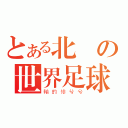 とある北韓の世界足球杯（輸的慘兮兮）