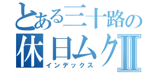 とある三十路の休日ムクリⅡ（インデックス）