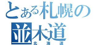 とある札幌の並木道（北海道）