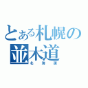 とある札幌の並木道（北海道）