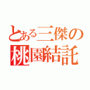 とある三傑の桃園結託（）