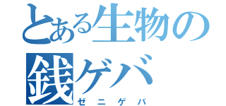 とある生物の銭ゲバ（ゼニゲバ）