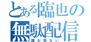 とある臨也の無駄配信（誰も来ない）